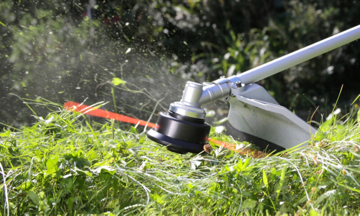Come tagliare l’erba alta dopo l’estate