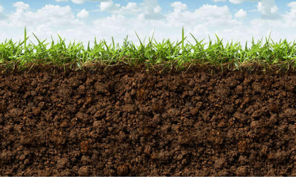 Come preparare il terreno per la semina