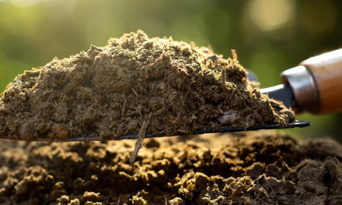 Concime o Ammendante? Scopri la differenza!