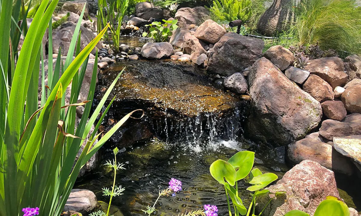 Laghetto zen in giardino: come realizzarlo