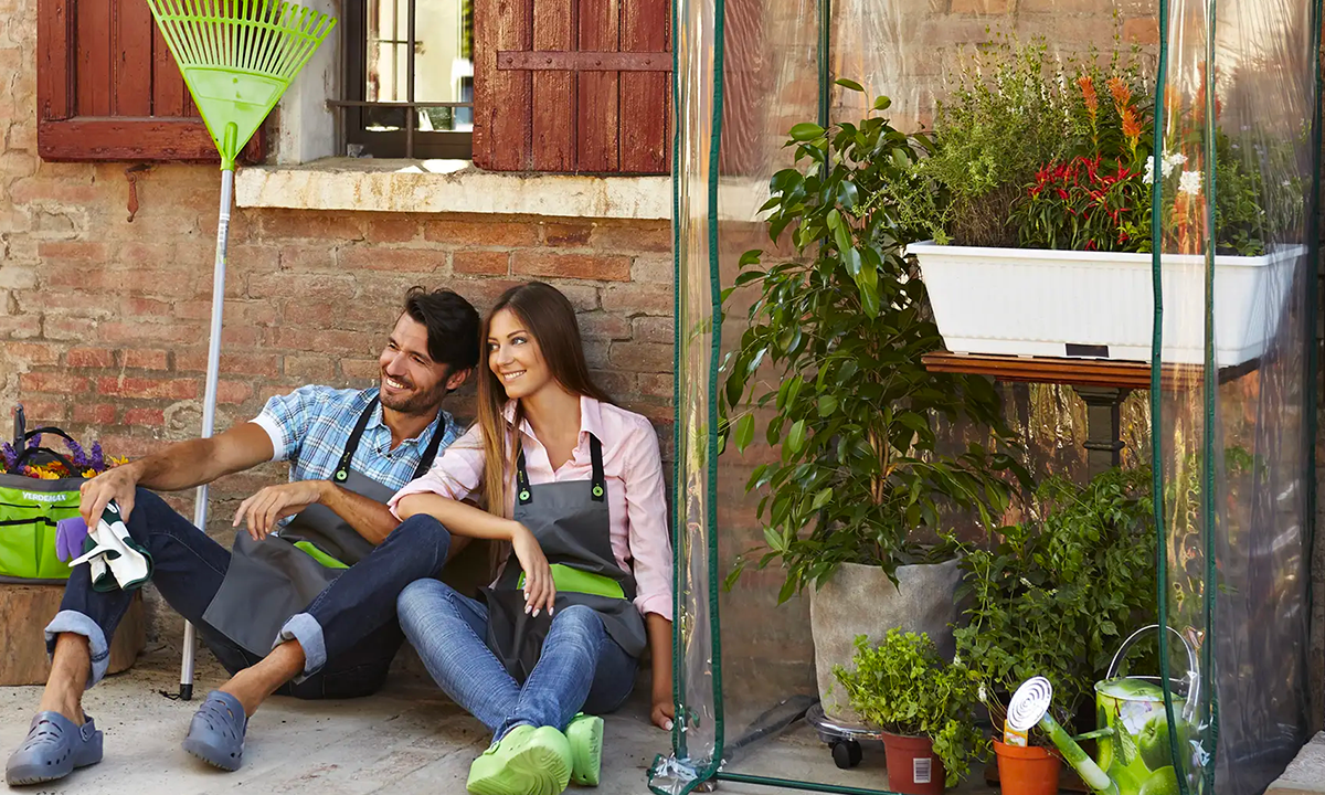 Come proteggere le piante dal freddo: i consigli per affrontare l’inverno