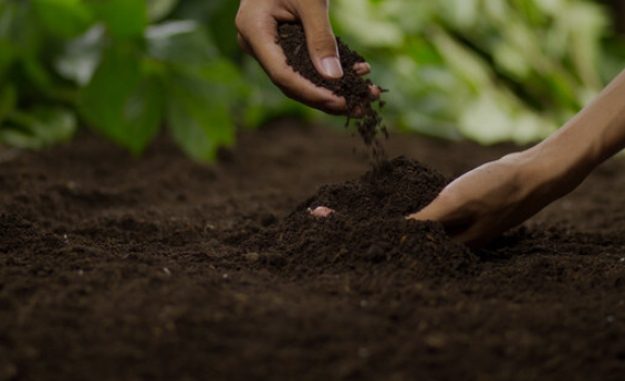 Prima di scegliere il terriccio... Leggi l'etichetta!