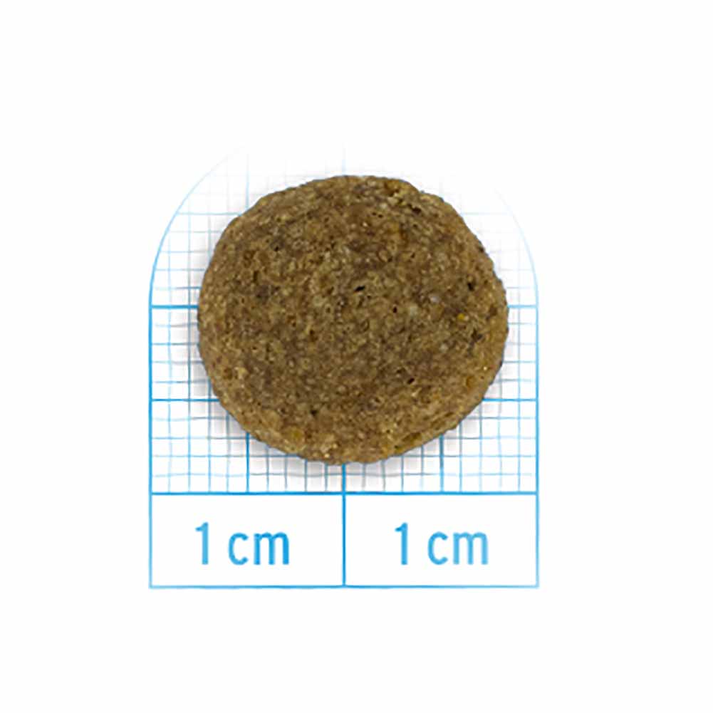 Alimento secco per cani Forza10 Adult Medium Pesce 12 kg 3