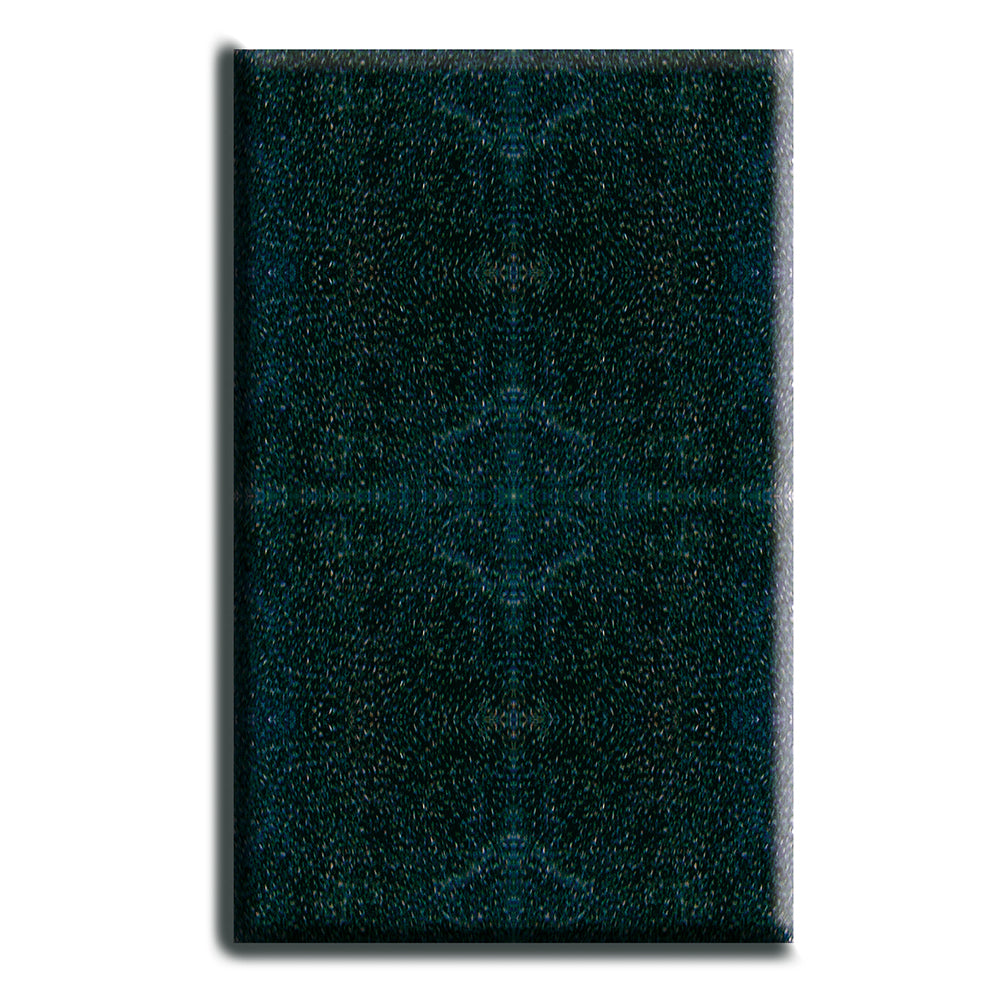 Cartuccia spugna di ricambio per filtro Niagara 190 Wave 1