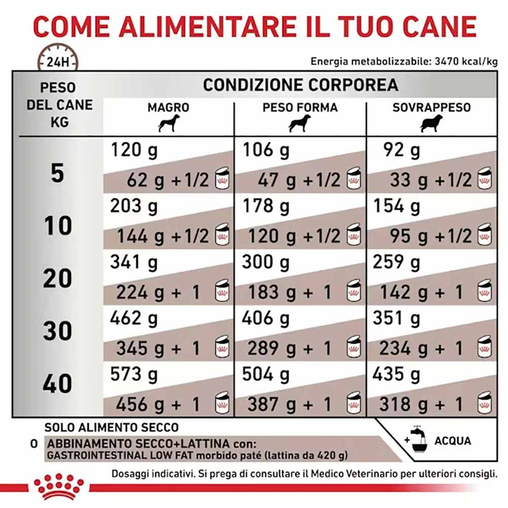 Alimento secco per cani Royal Canin Gastrointestinal Low Fat 6 kg 3