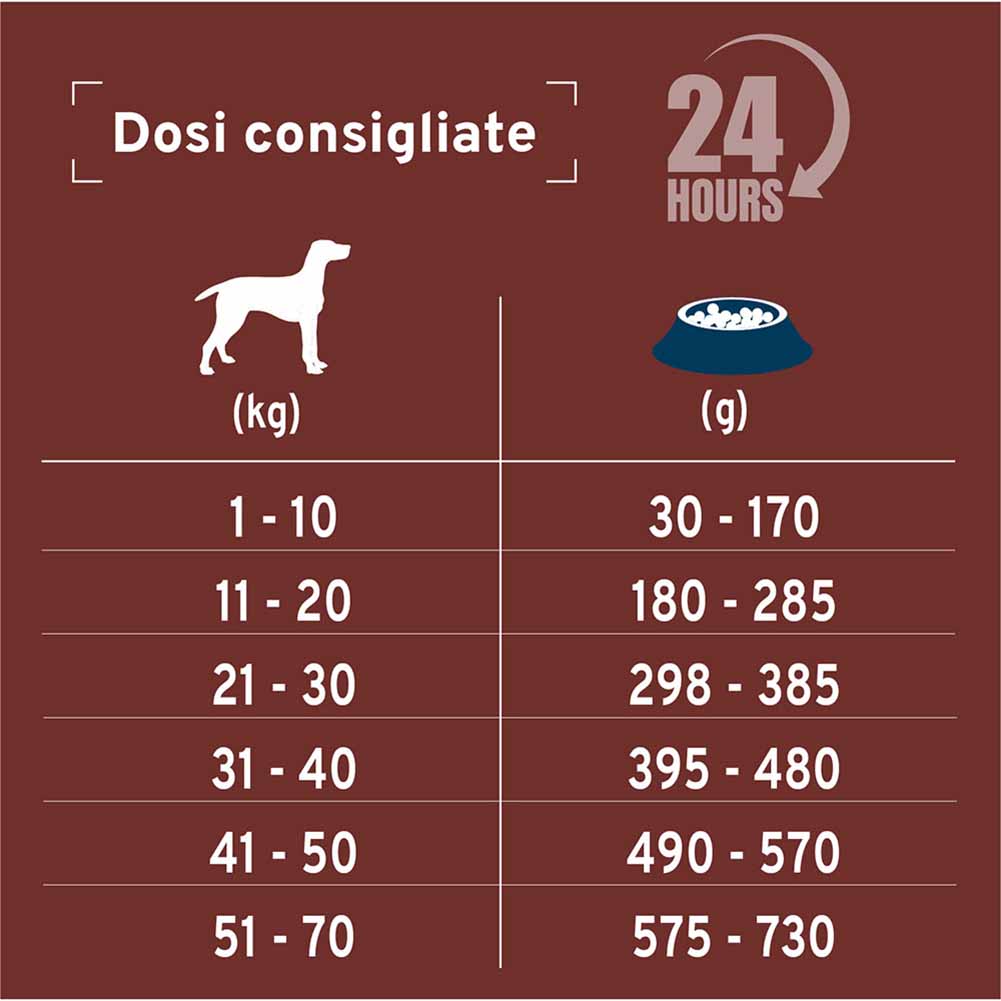 Alimento secco per cani Forza 10 Dermo Active 10 kg 3