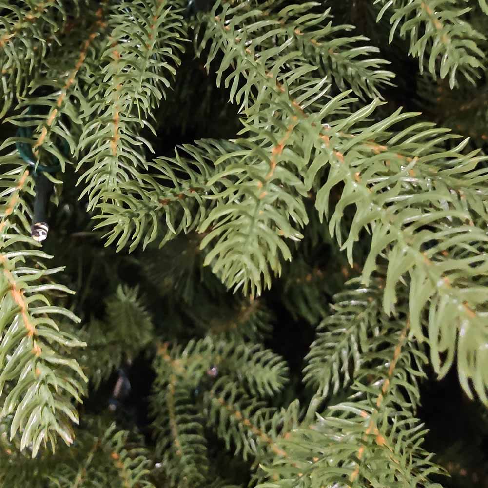 Albero di Natale Abete Brunico 240cm 2