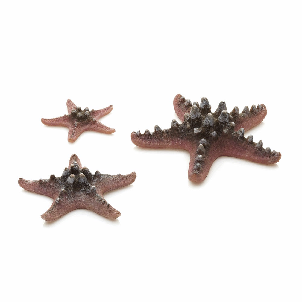 Decorazione acquario set 3 stelle marine rosa biOrb art 46136 1