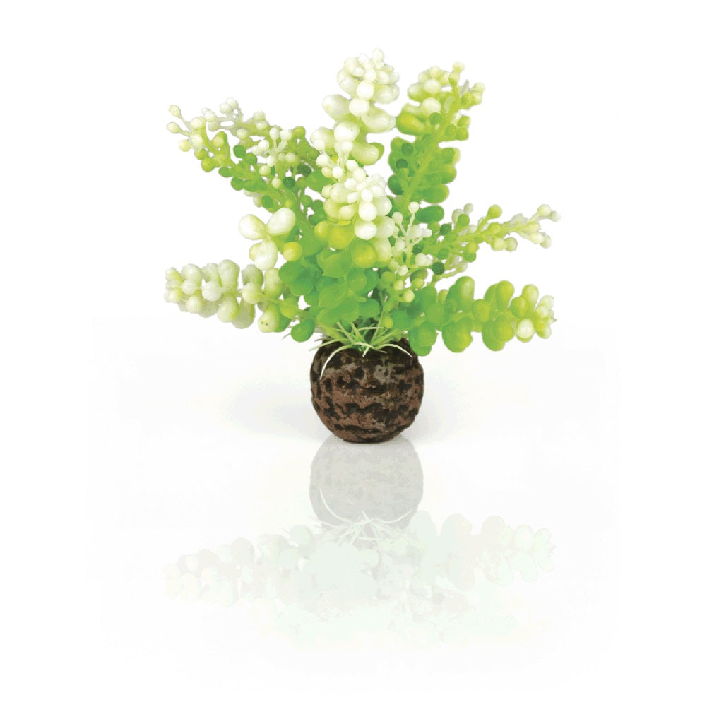 Decorazione per acquario alga caulerpa piccola verde biOrb art 46090 1