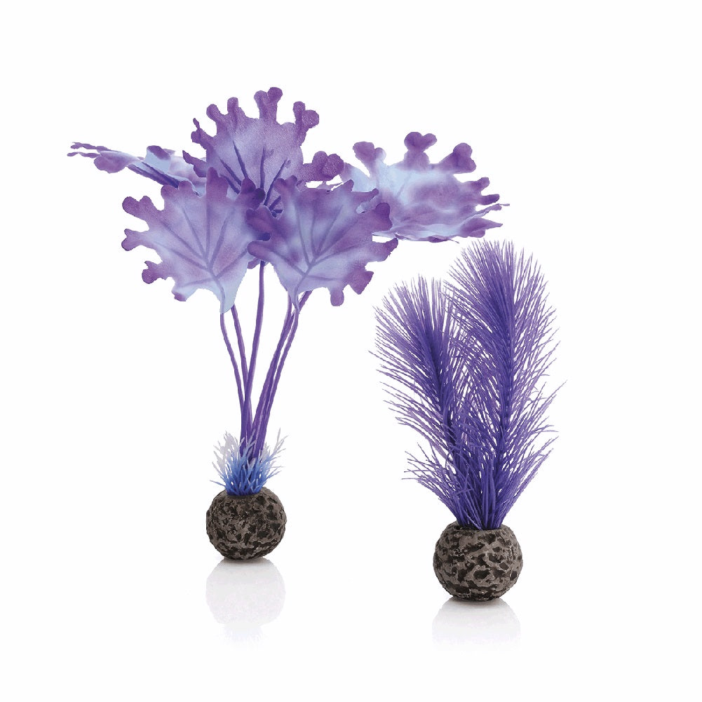 Decorazione per acquario set di alghe piccole viola biOrb art 46079 1