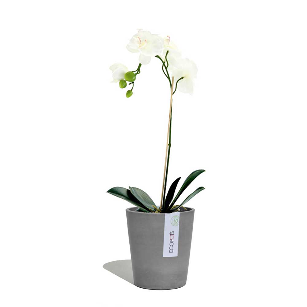 Vaso Morinda Orchidee Ø14 cm Grigio Ecopots 2