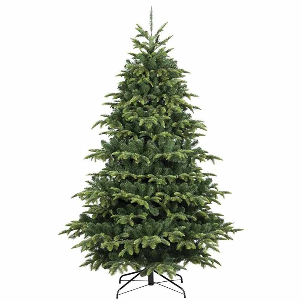 Albero di Natale abete Gressoney 240cm 1