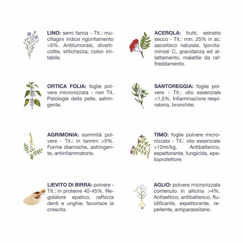 Alimento secco cane Primi mesi maiale Vet Line 3