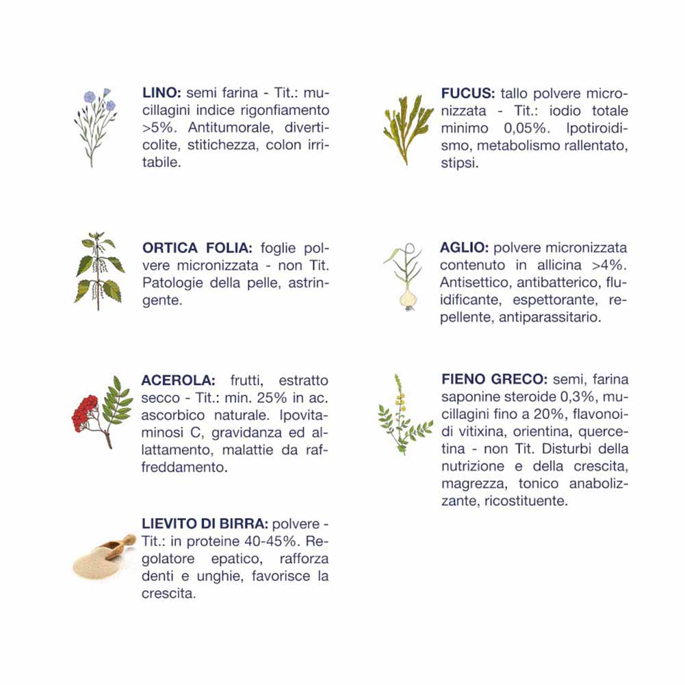 Alimento secco cane accrescimento bufalo Vet Line 6