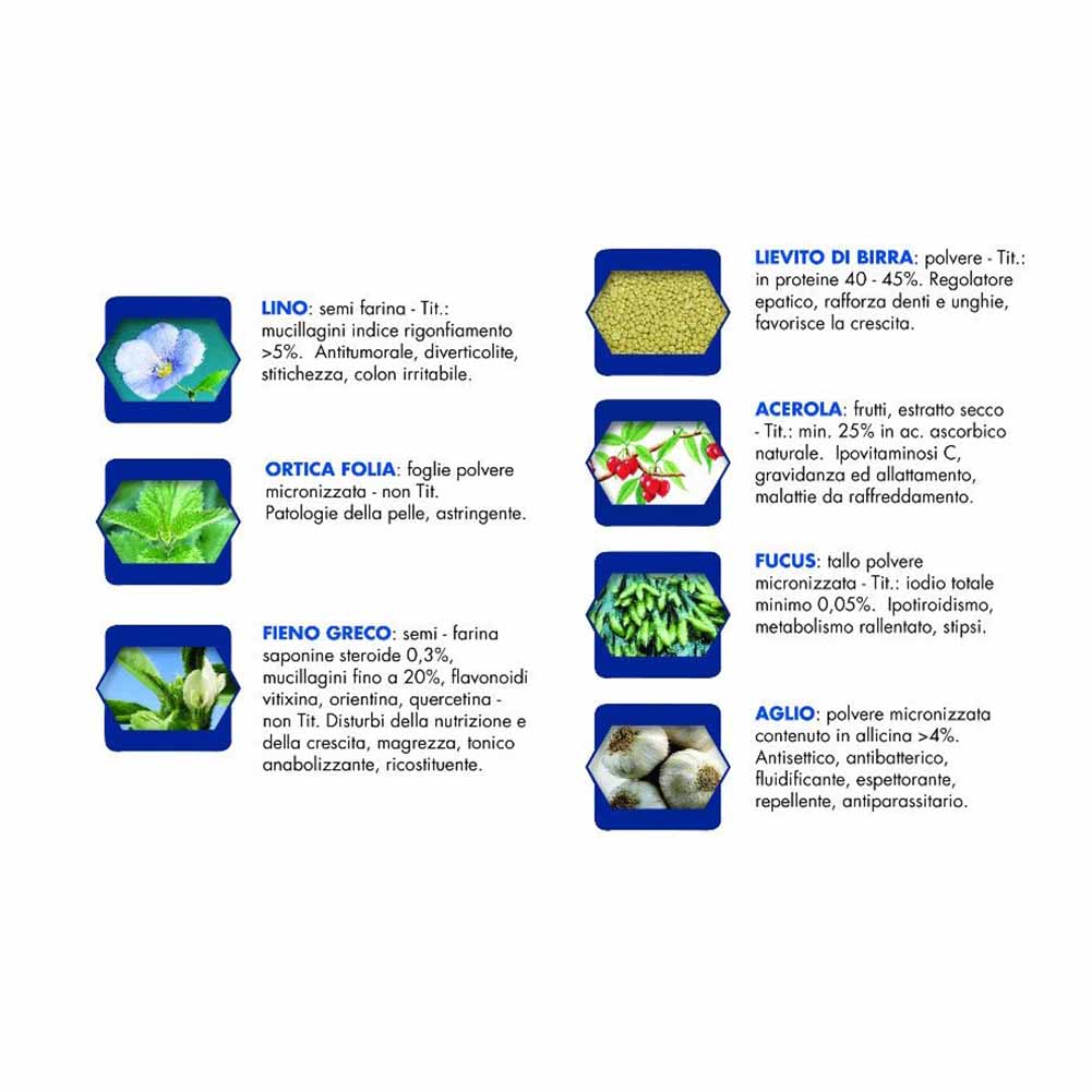Alimento umido cane adulto bufalo con patate Vet Line 6