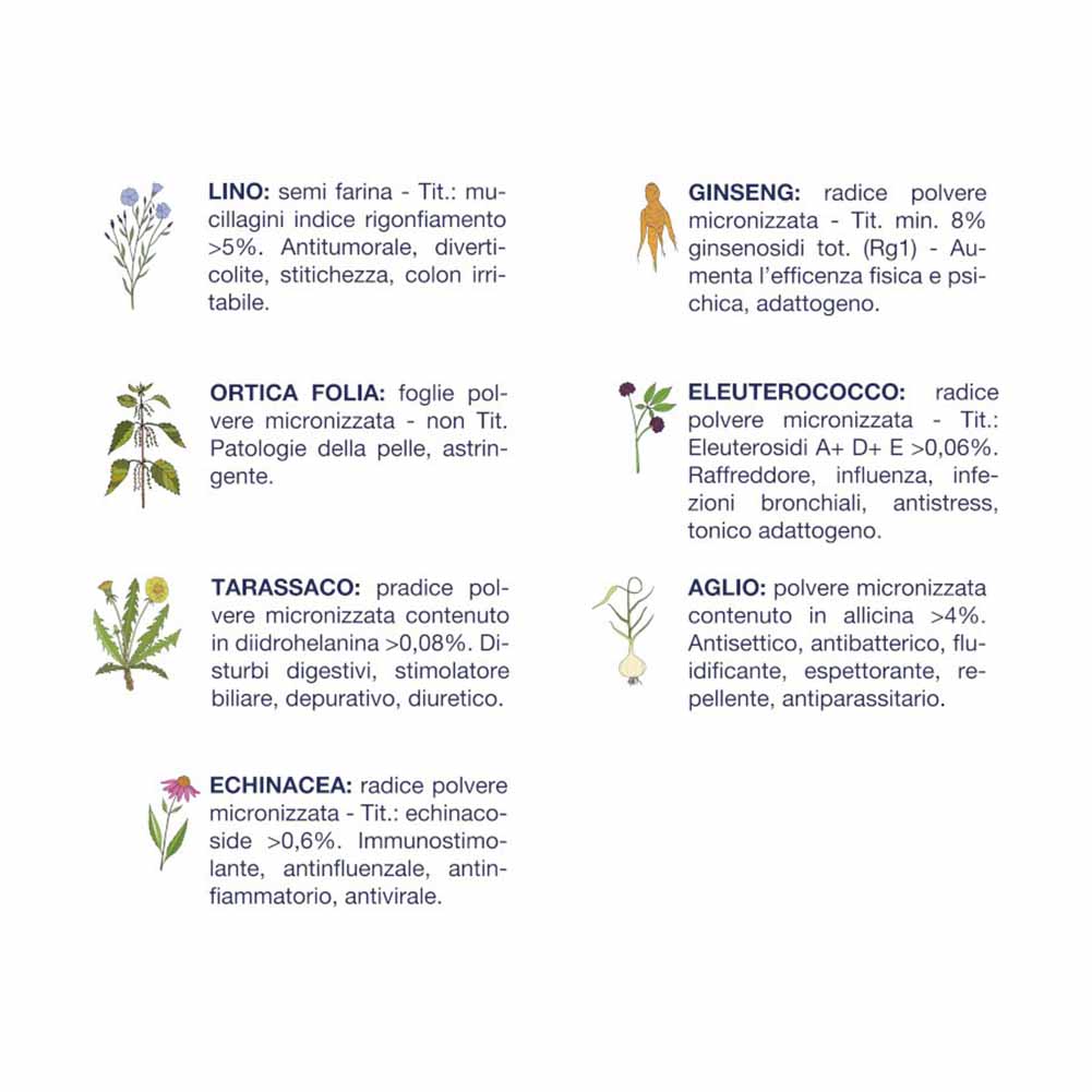 Alimento secco cane adulto maiale Vet Line 3