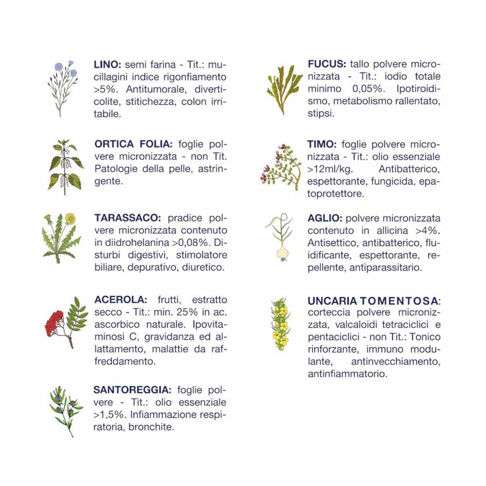 Alimento secco cane adulto taglia piccola Salute cervo 3kg Vet line 3