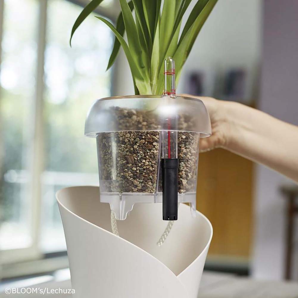 Substrato Lechuza OrchidPon 6 Litri per Orchidee 3