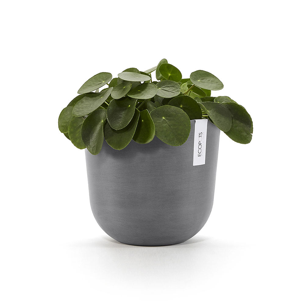 Vaso Oslo Ø25 cm Grigio Ecopots 2