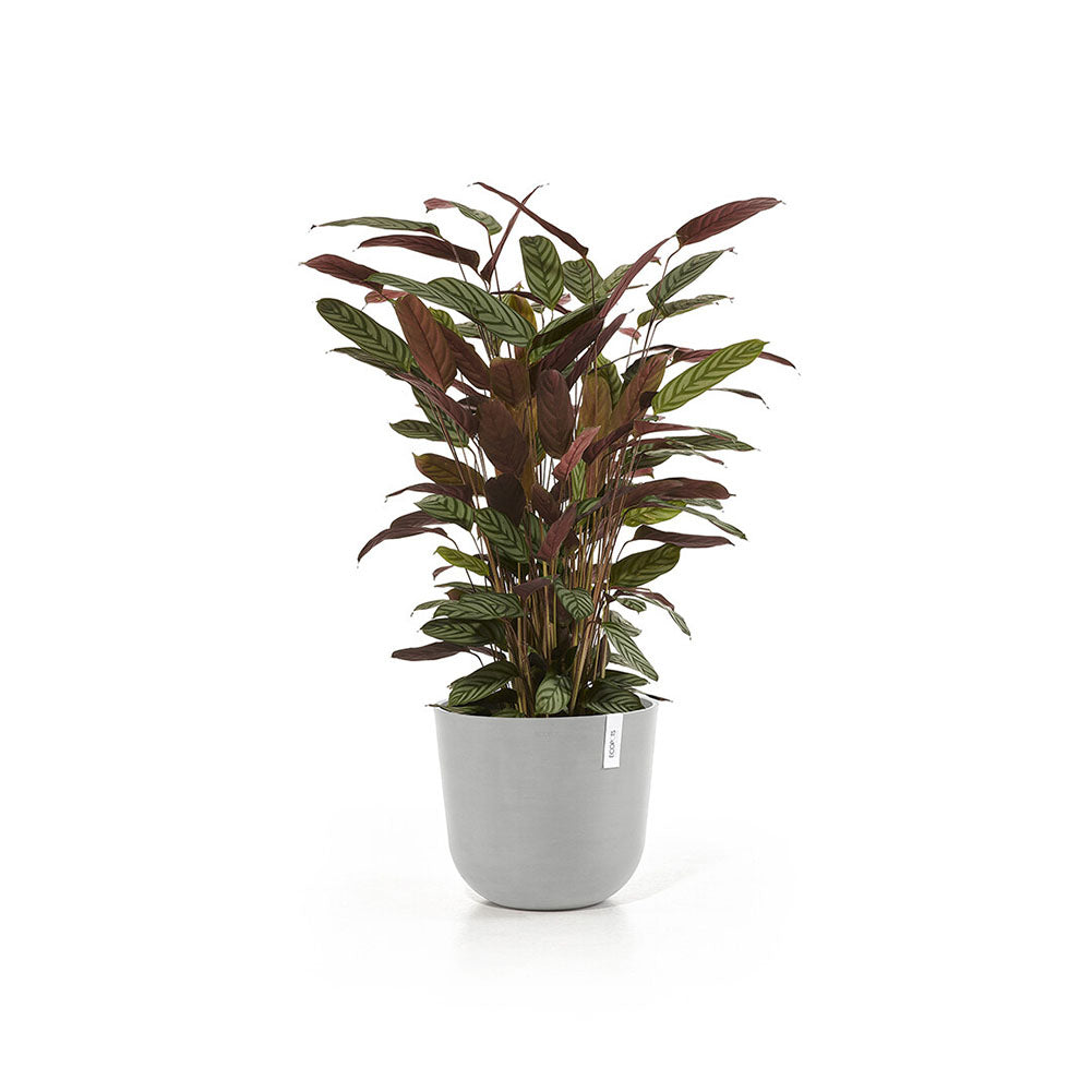 Vaso Oslo Ø35 cm Grigio Chiaro Ecopots 2