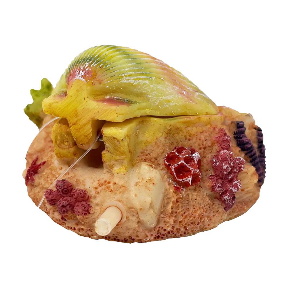 Decorazione per acquario con movimento Action Conchiglia S 10x9x5cm 3