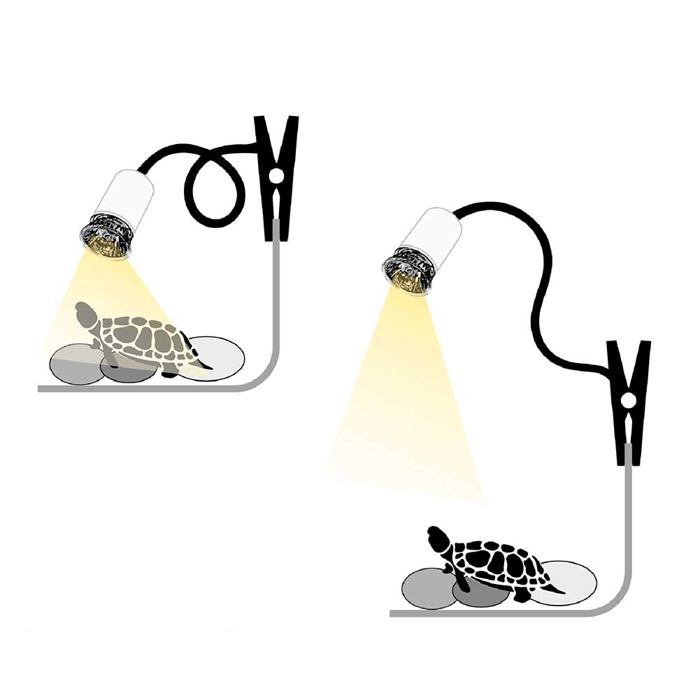 Lampada Reptalux a raggi UVA UVB per terrari e paludari Nera 4