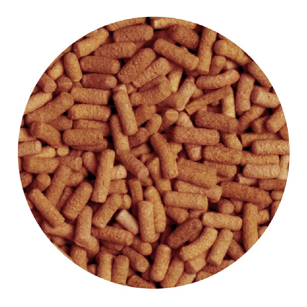 Mangime proteico in Sticks affondanti per Axolotl 250ml 2