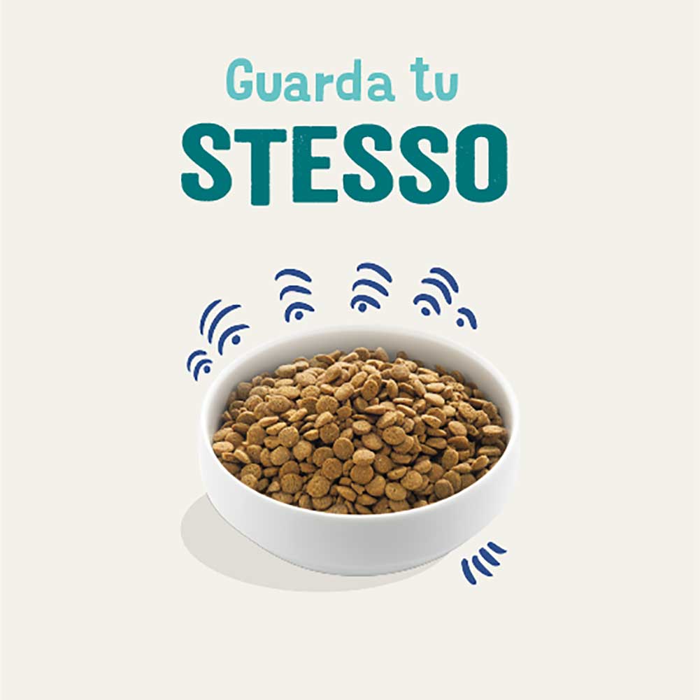 Alimento cane Adulto Salmone Norvegese Edgard Cooper 4