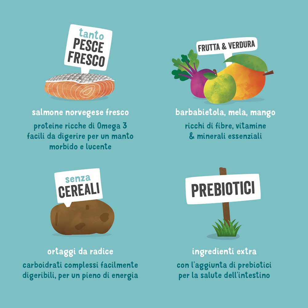Alimento cane Adulto Salmone Norvegese Edgard Cooper 5