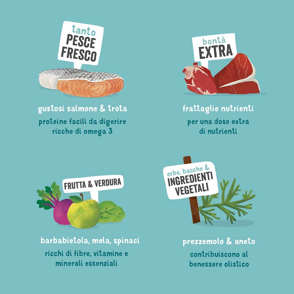 Alimento cane Adulto Salmone e Trota Edgard Cooper 6
