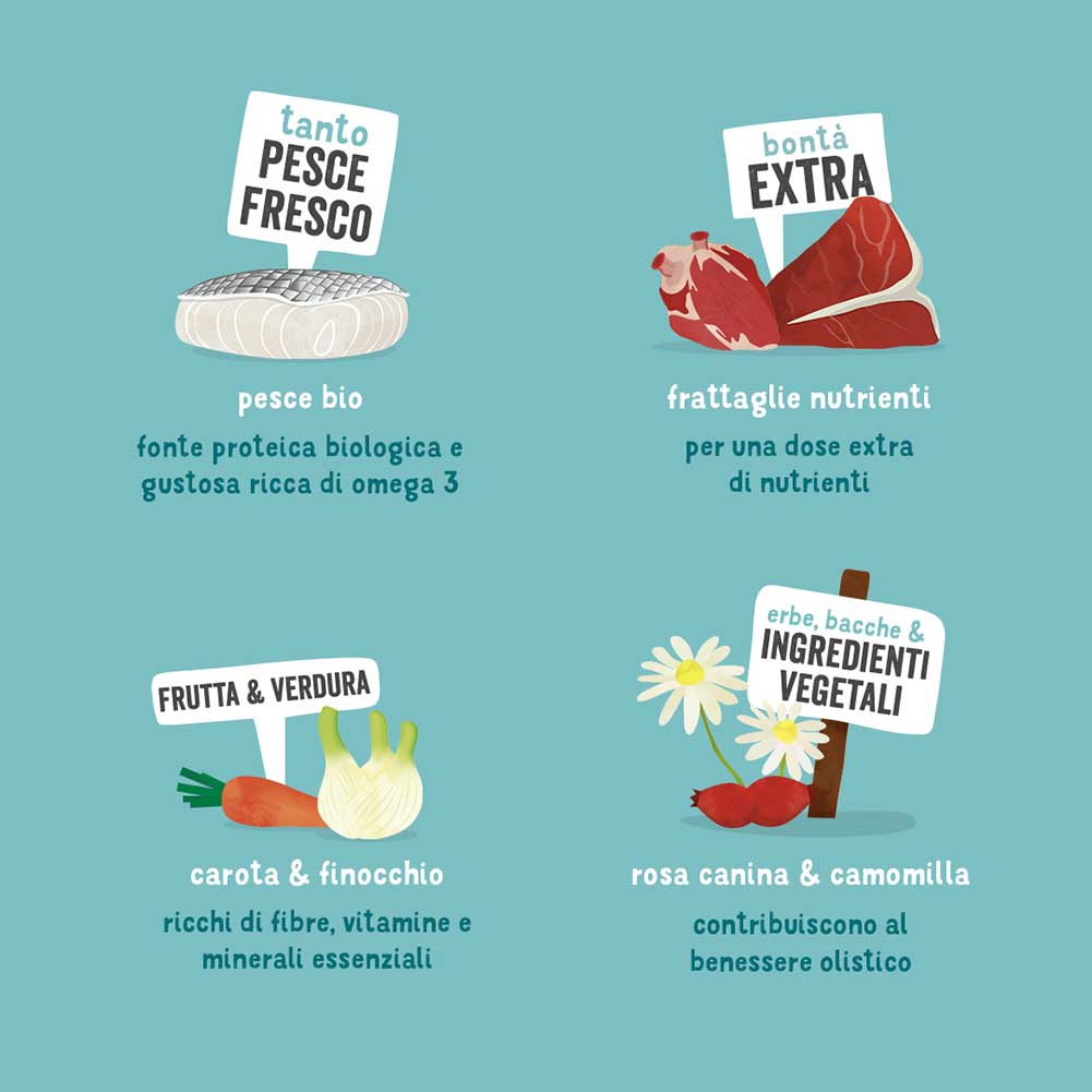 Alimento cane Adulto Bio Pesce 100g Edgard Cooper 2