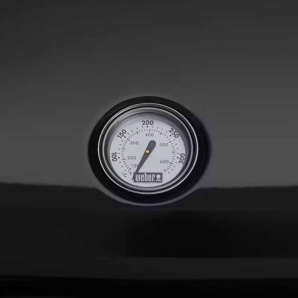 Barbecue elettrico Weber Lumin compact con stand 6