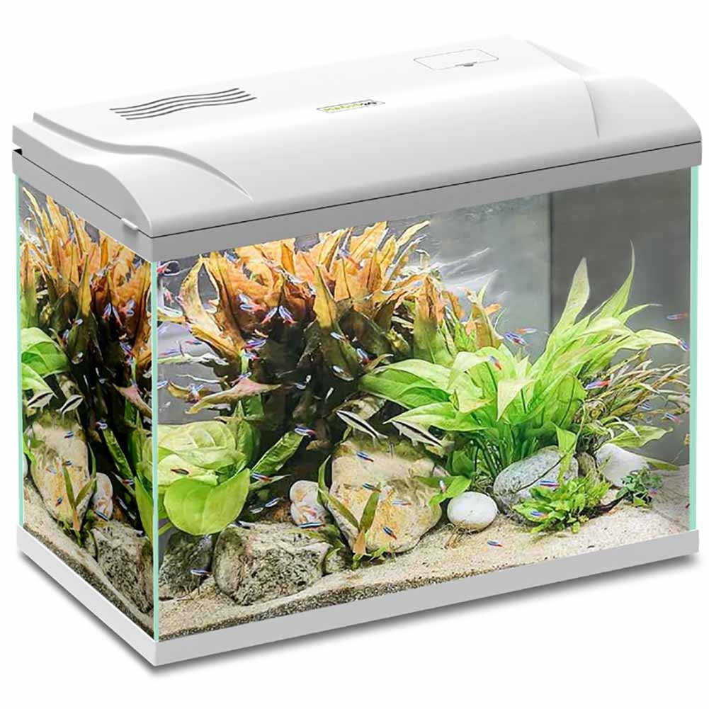 Acquario Magis 30 Bianco Blu Bios 4