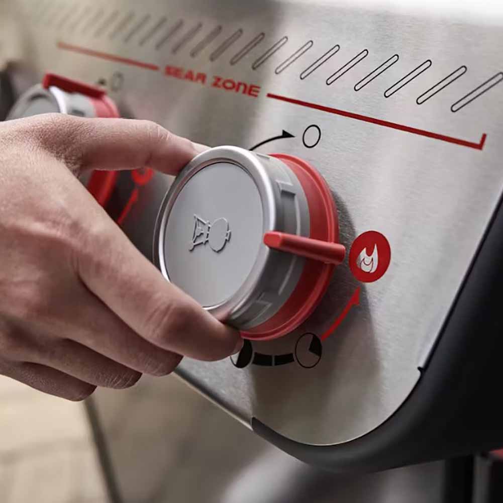 Bundle con Barbecue a gas Weber Spirit E425 e Pietra per pizza Ø26cm 2