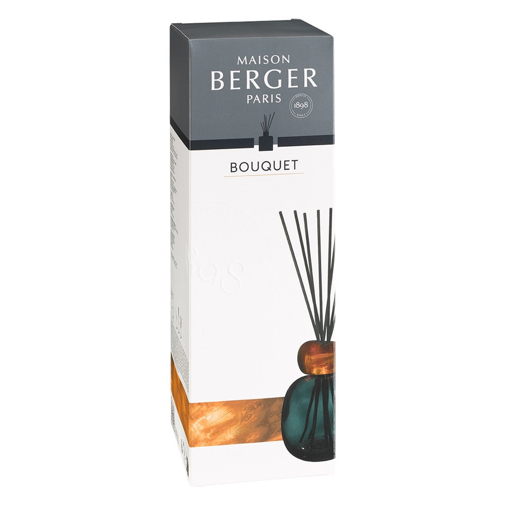 Cofanetto Diffusore a Bastoncini Maison Berger Mineral Nero – Terre Sauvage 2