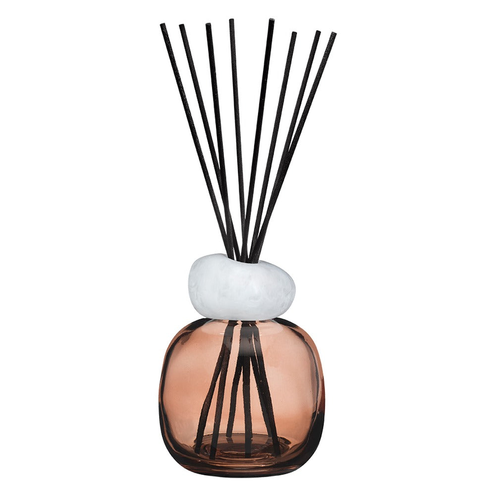 Cofanetto Diffusore a Bastoncini Maison Berger Mineral Prune – Lady Flower 1