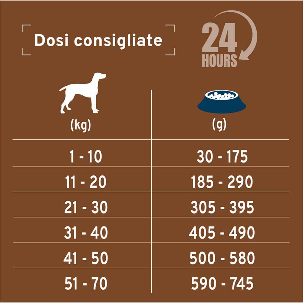 Alimento secco cane Forza10 Intestinal Colon Fase 2 agnello sorgo 10 kg 5