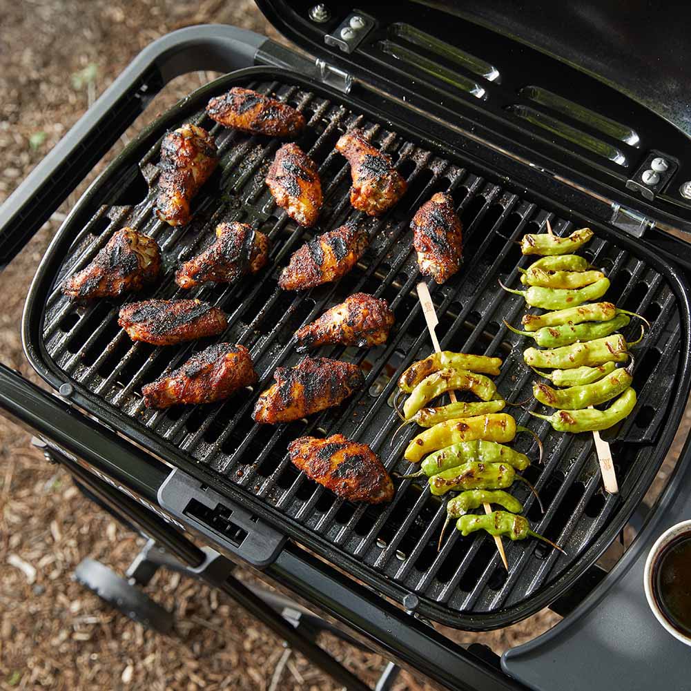 Weber Traveler Compact barbecue a gas portatile con paletta precision 2