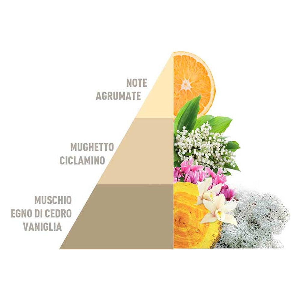 Profumatore per Bucato Horomia Gold - Argan 250 ml 3