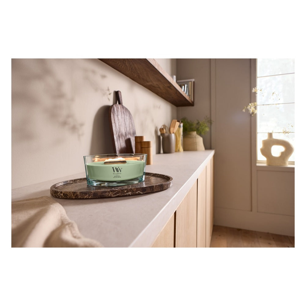 Candela Ellipse WoodWick Matcha Zest 2