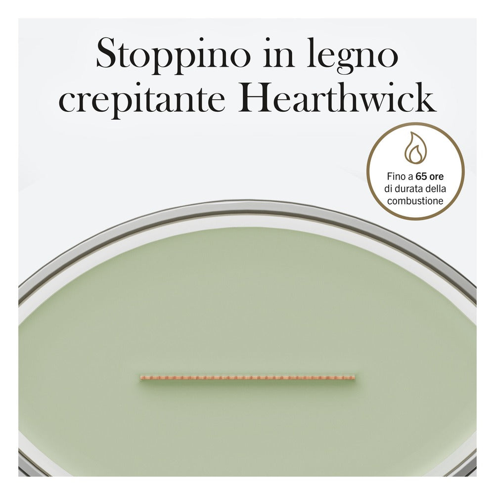 Candela Ellipse WoodWick Matcha Zest 5