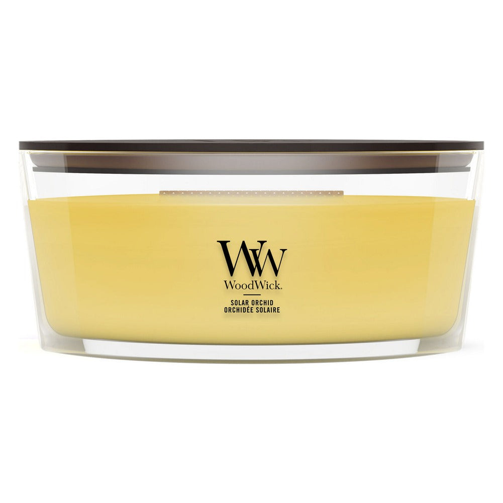 Candela Ellipse WoodWick Solar Orchid 1