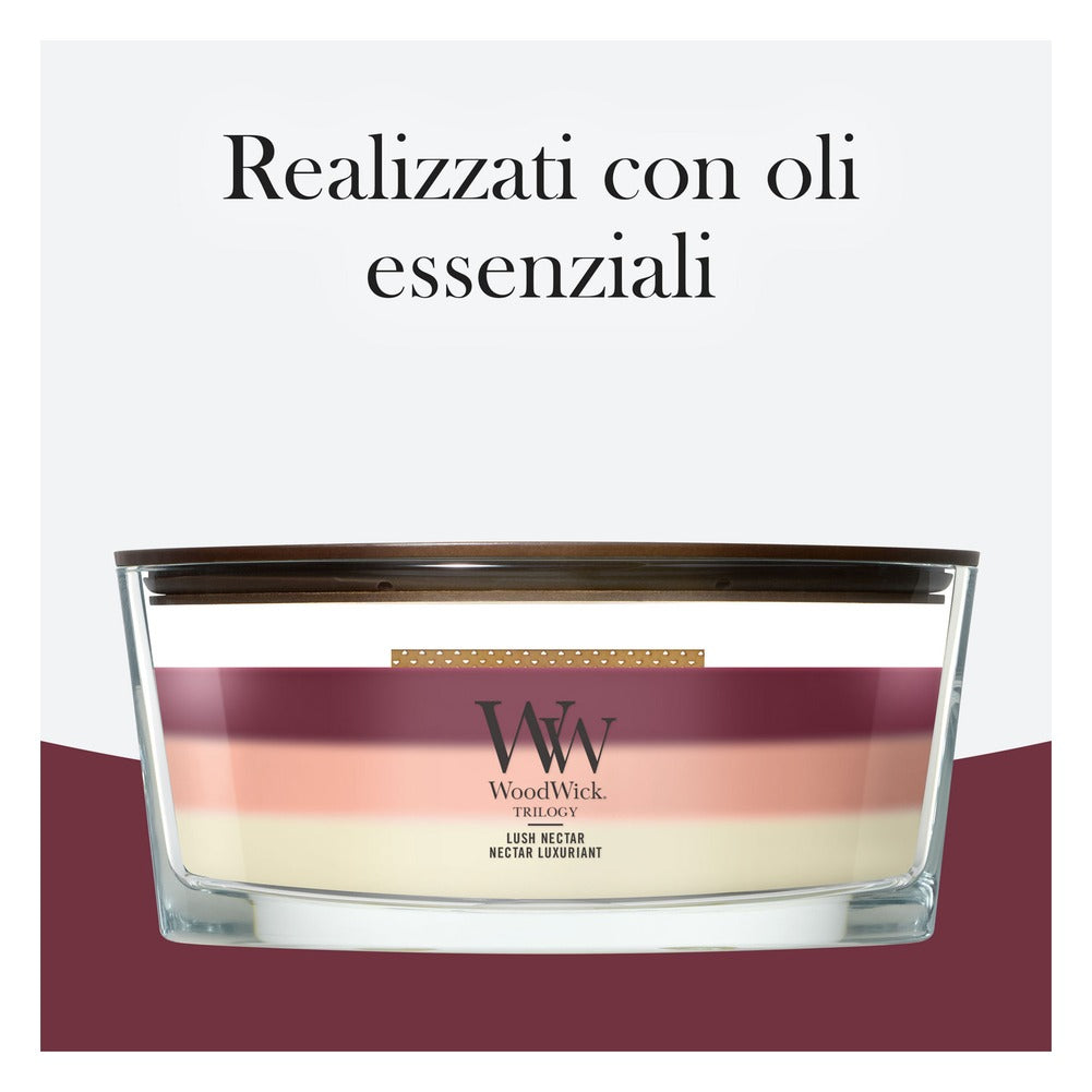 Candela Ellipse Trilogy WoodWick Lush Nectar 5
