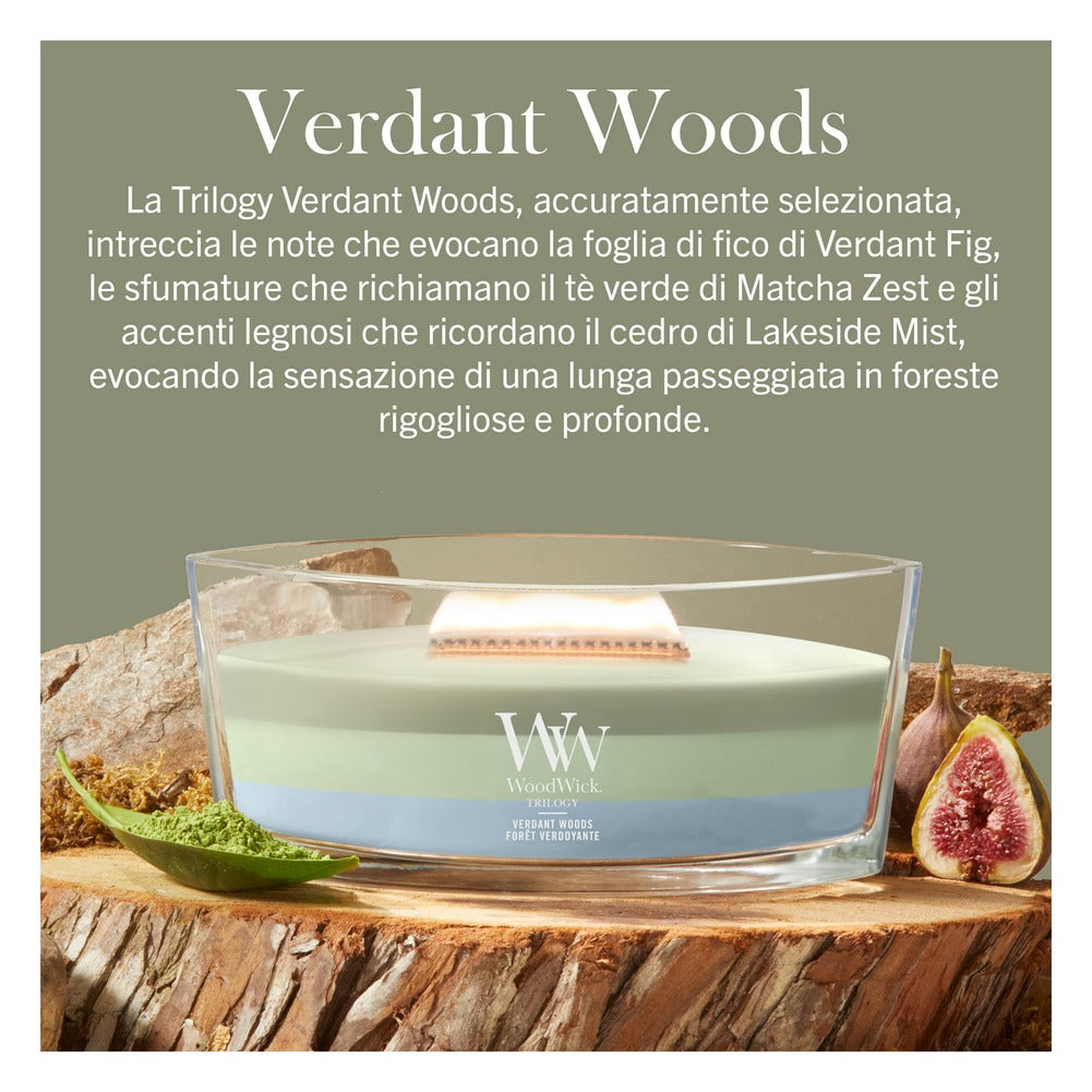 Candela Ellipse Trilogy WoodWick Verdant Woods 2