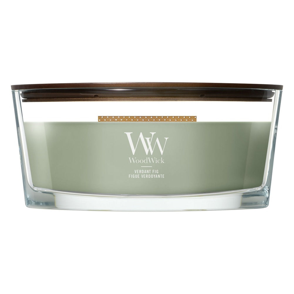 Candela Ellipse WoodWick Verdant Fig 1