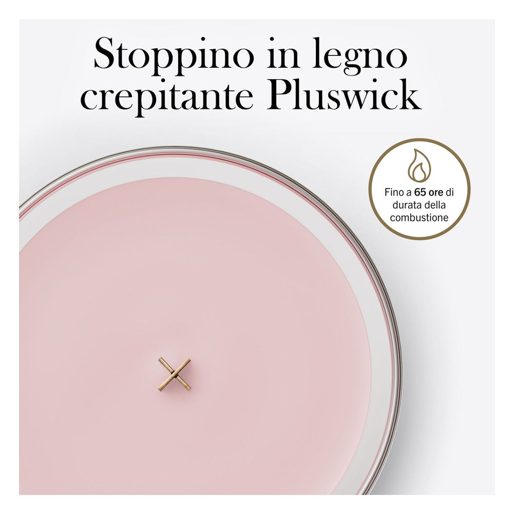 Candela Media WoodWick Rose Blush 6