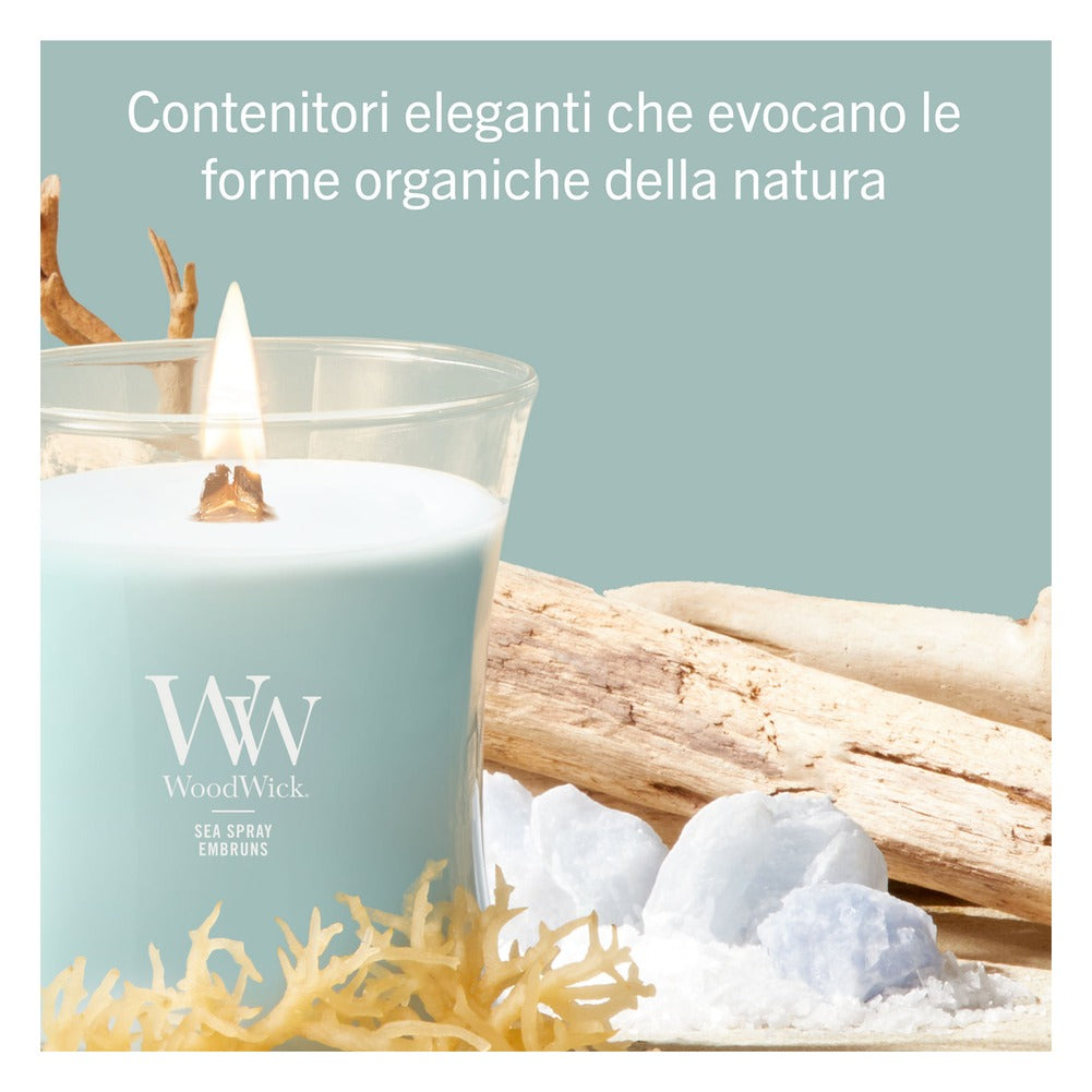 Candela Media WoodWick Sea Spray 4