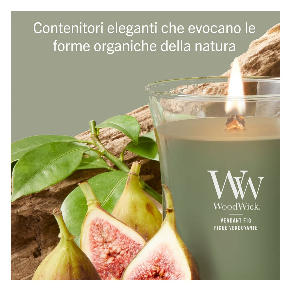 Candela Media WoodWick Verdant Fig 5