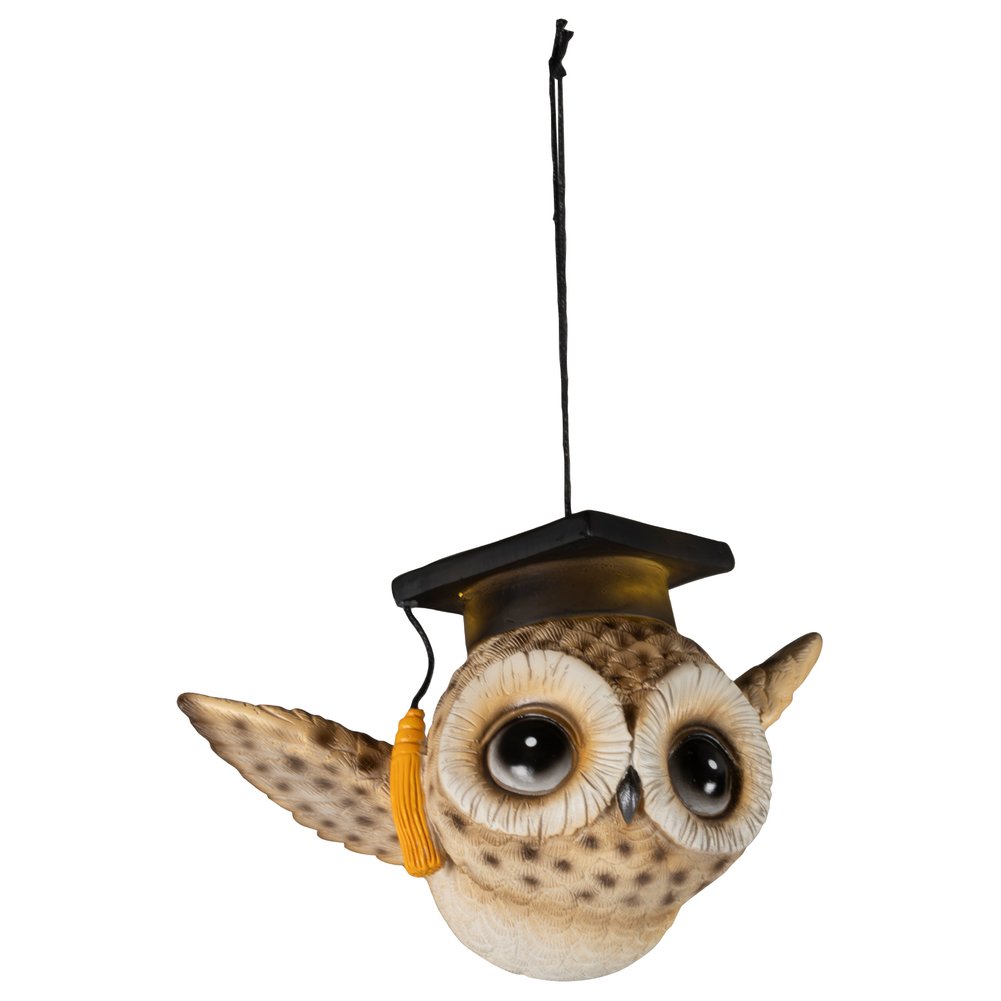 Gufo dottore luminoso a batteria, per interno, 10,5cm 1