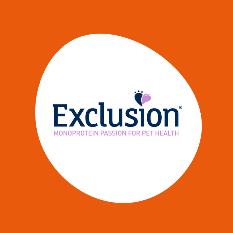 Exclusion promo day 10/10/2026